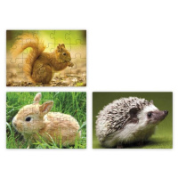 Puzzle 3 v 1 – Mláďátka v lese