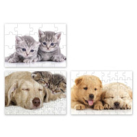 Puzzle 3 v 1 – Mazlíčci