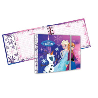 Disney zápisnik