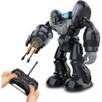 Robo Blast