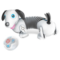 Robo Pudlík