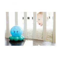 Zářící chobotnička