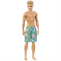 Barbie - Plážový Ken