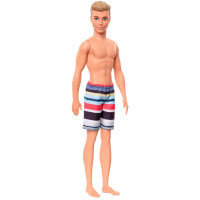 Barbie Ken