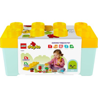 10984 Lego Duplo- Bio Zahrádka