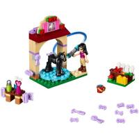41123 LEGO FRIENDS – Mytí hříbátka