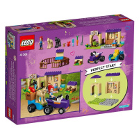 41361 LEGO FRIENDS - Miina stáj pro hříbě