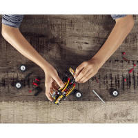 42101 LEGO TECHNIC - Bugina