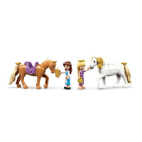 43195 Lego Disney Princess- Královské stáje Krásky a Rapunzel