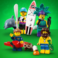 71029 LEGO MINIFIGURES - 21. série