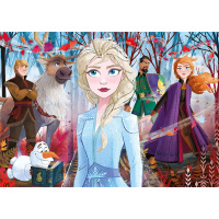 Puzzle 4v1 SuperColor – Frozen 2