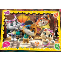 Puzzle 60 – 44 Cats