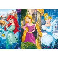 Puzzle 60 - Disney Princess