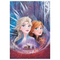 Puzzle 104 – Frozen II