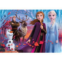 Puzzle 104 – Frozen 2