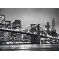 Puzzle 500 - New York