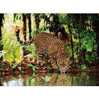 Puzzle 2000 - Leopard