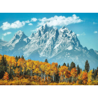 Puzzle 500 - Grand Teton