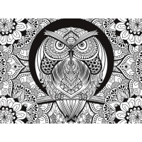 PUZZLE – 500 Sova - antistresové