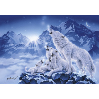 Puzzle 1000 - Vlčí rodinka