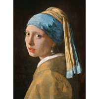 Puzzle 1000 – Johannes Vermeer Děvče