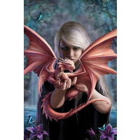 Puzzle 1000 – Anne Stokes