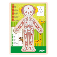 Puzzle – Lidské tělo děvče