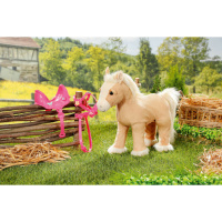 Baby born – Koník
