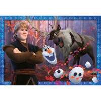 Puzzle - Frozen II 2v1