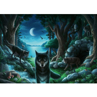Exit Puzzle 759 – Vlk