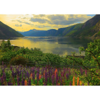 Puzzle 1000 – Fjord v Norsku
