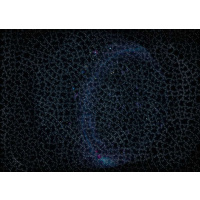 Puzzle 881 – Krypt