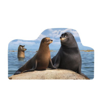 Puzzle – Hledá se Dory