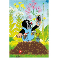 Puzzle 2x24 - Krtek na mýtince
