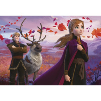 Puzzle 2x77 – Frozen 2