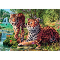 Puzzle 1000 - Tygři