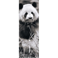 Puzzle 1000 – Panda