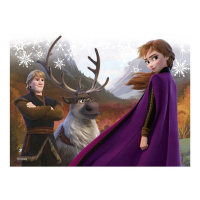 Frozen 2 - Kostky