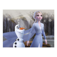 Frozen 2 - Kostky