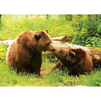 Puzzle 2 X 500 - Příroda