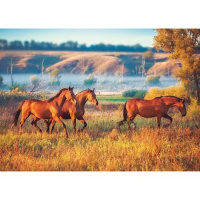 Puzzle 2 x 500 - Hrad a divoké koně