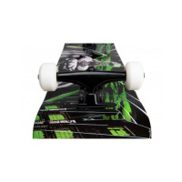 Skateboard Wasteland