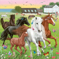 Miss Melody – Puzzle koně