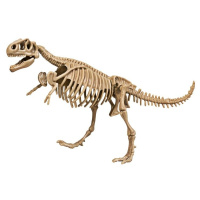 Archeologická souprava Dinosaurus