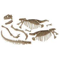Archeologická souprava Dinosaurus