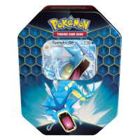 Pokémon TCG – Hidden Fates karty