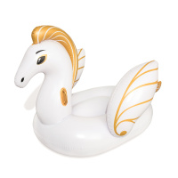 Nafukovací Pegasus