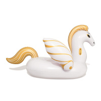 Nafukovací Pegasus