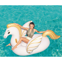 Nafukovací Pegasus