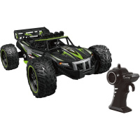 RC Pro Extreme Buggy 1:14
